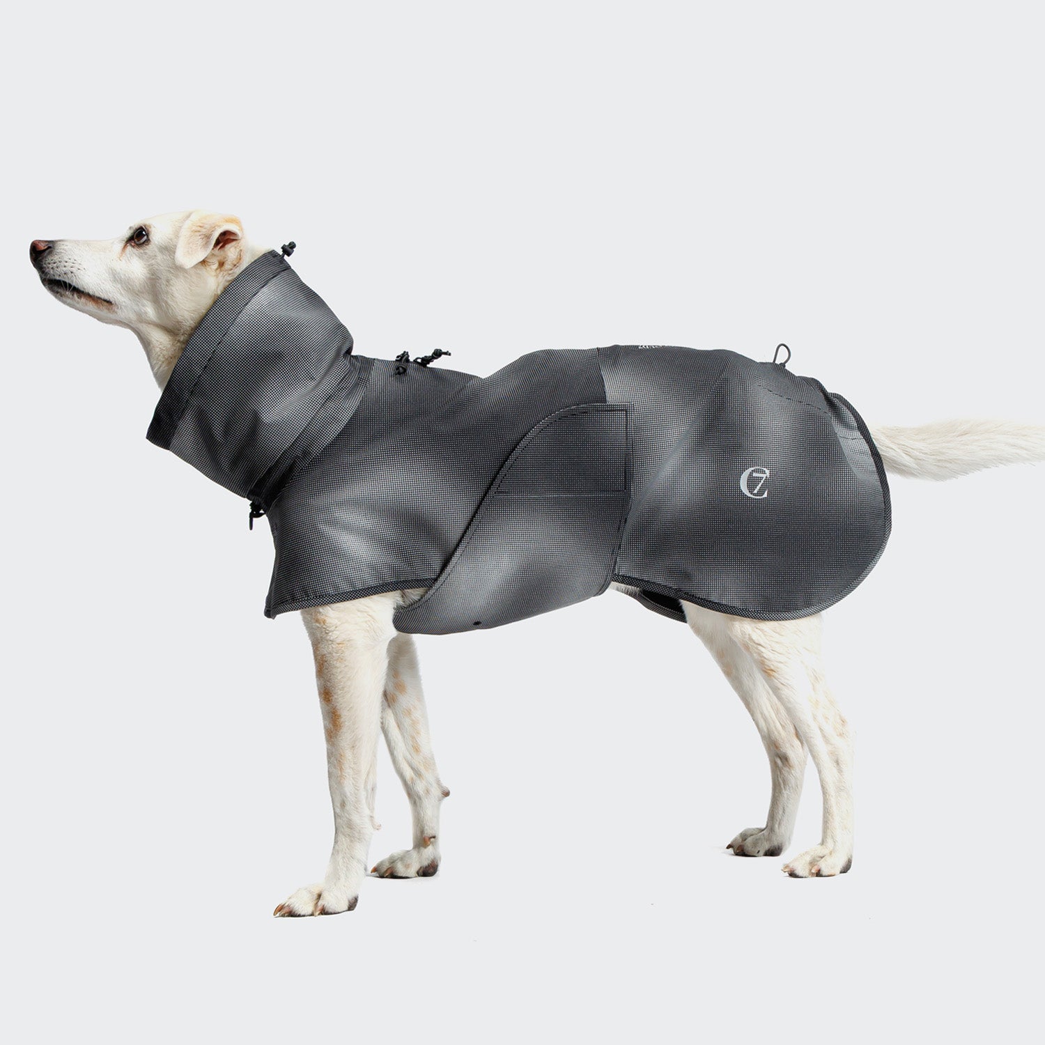 Cloud7 AKTIV reflective dog raincoat in high-visibility color, showcasing the extended shape and relaxed cut for full body coverage on a dog.