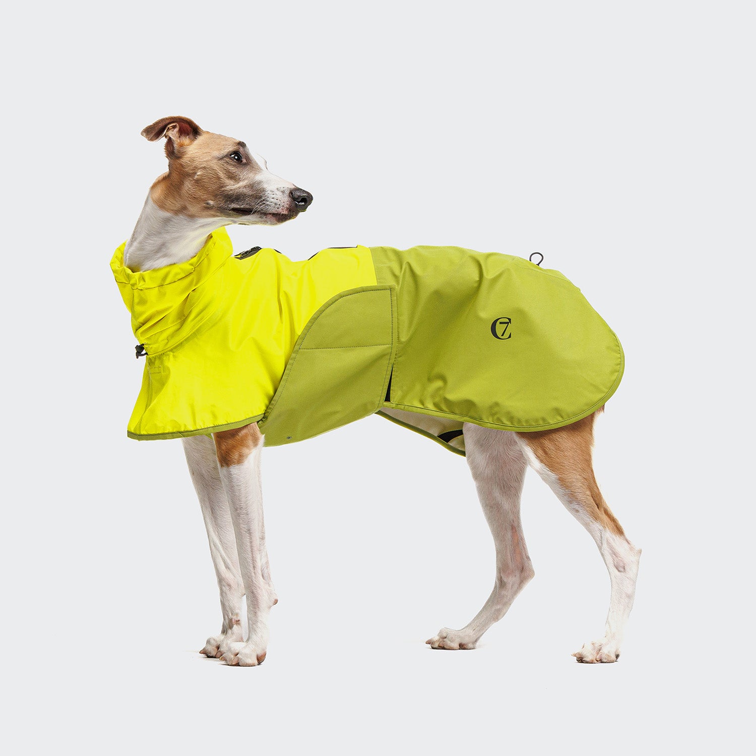 Cloud7 AKTIV reflective dog raincoat in high-visibility color, showcasing the extended shape and relaxed cut for full body coverage on a dog.