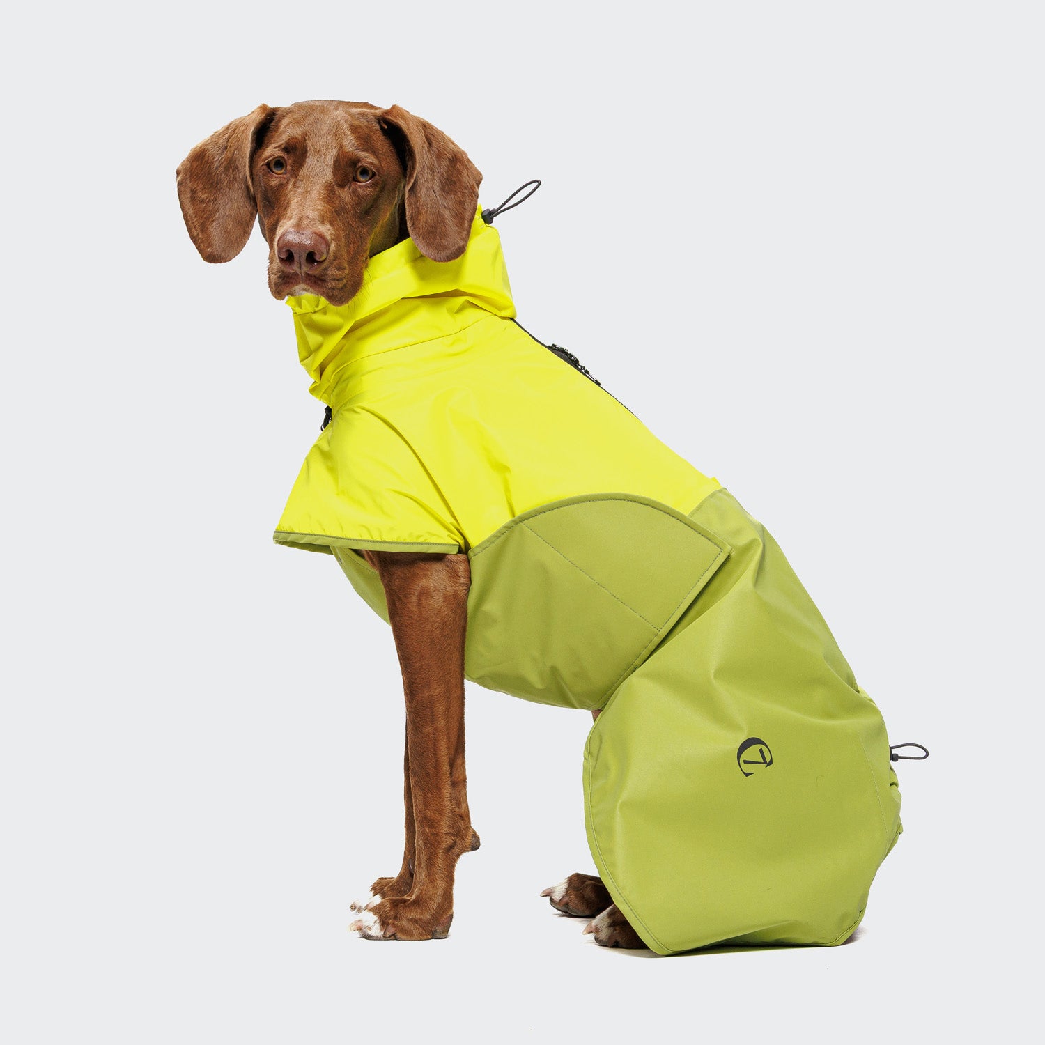 Cloud7 AKTIV reflective dog raincoat in high-visibility color, showcasing the extended shape and relaxed cut for full body coverage on a dog.