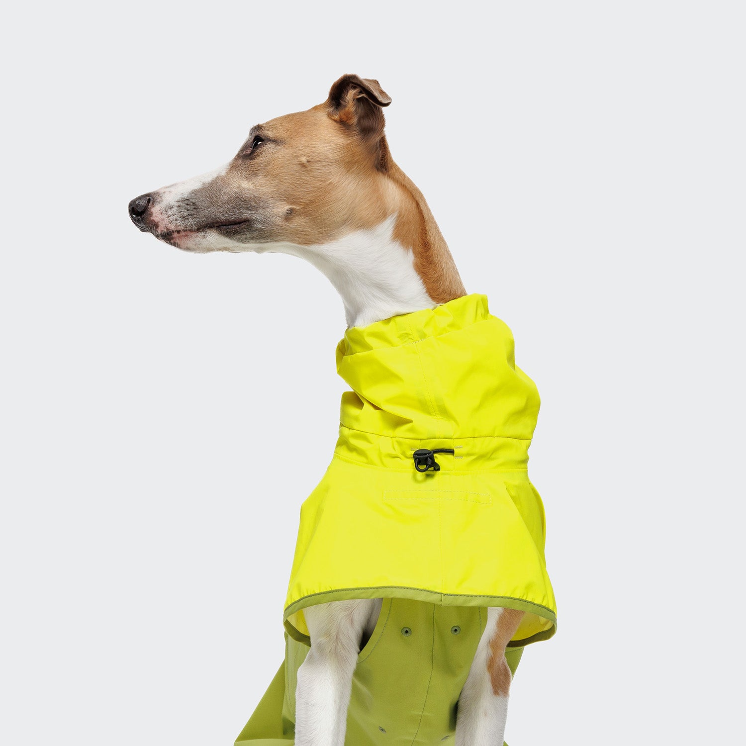 Cloud7 AKTIV reflective dog raincoat in high-visibility color, showcasing the extended shape and relaxed cut for full body coverage on a dog.