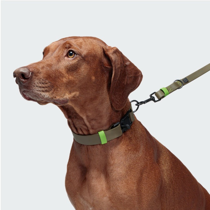 Cloud7: Dog Collar BioThane Ipanema Black-Olive