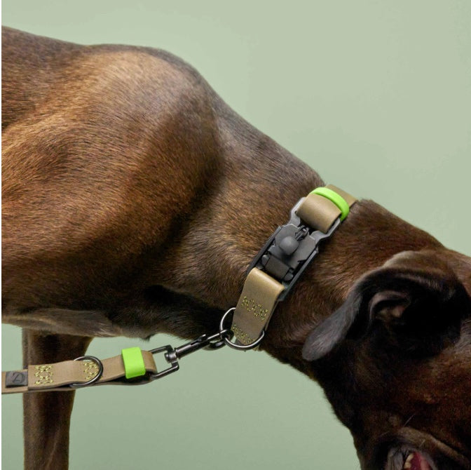 Cloud7: Dog Collar BioThane Ipanema Black-Olive