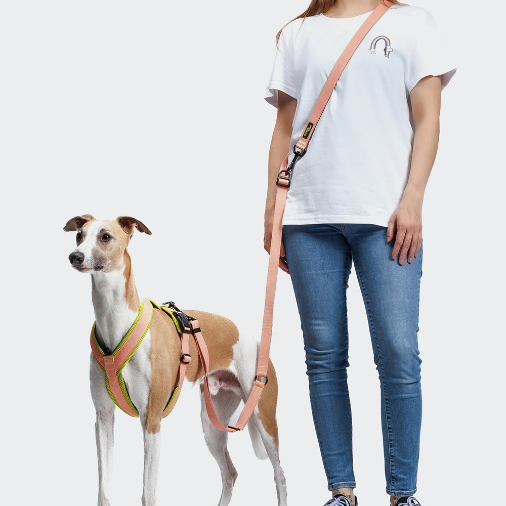 Cloud7: L-1 AKTIV Hands-Free Dog Leash, Peach