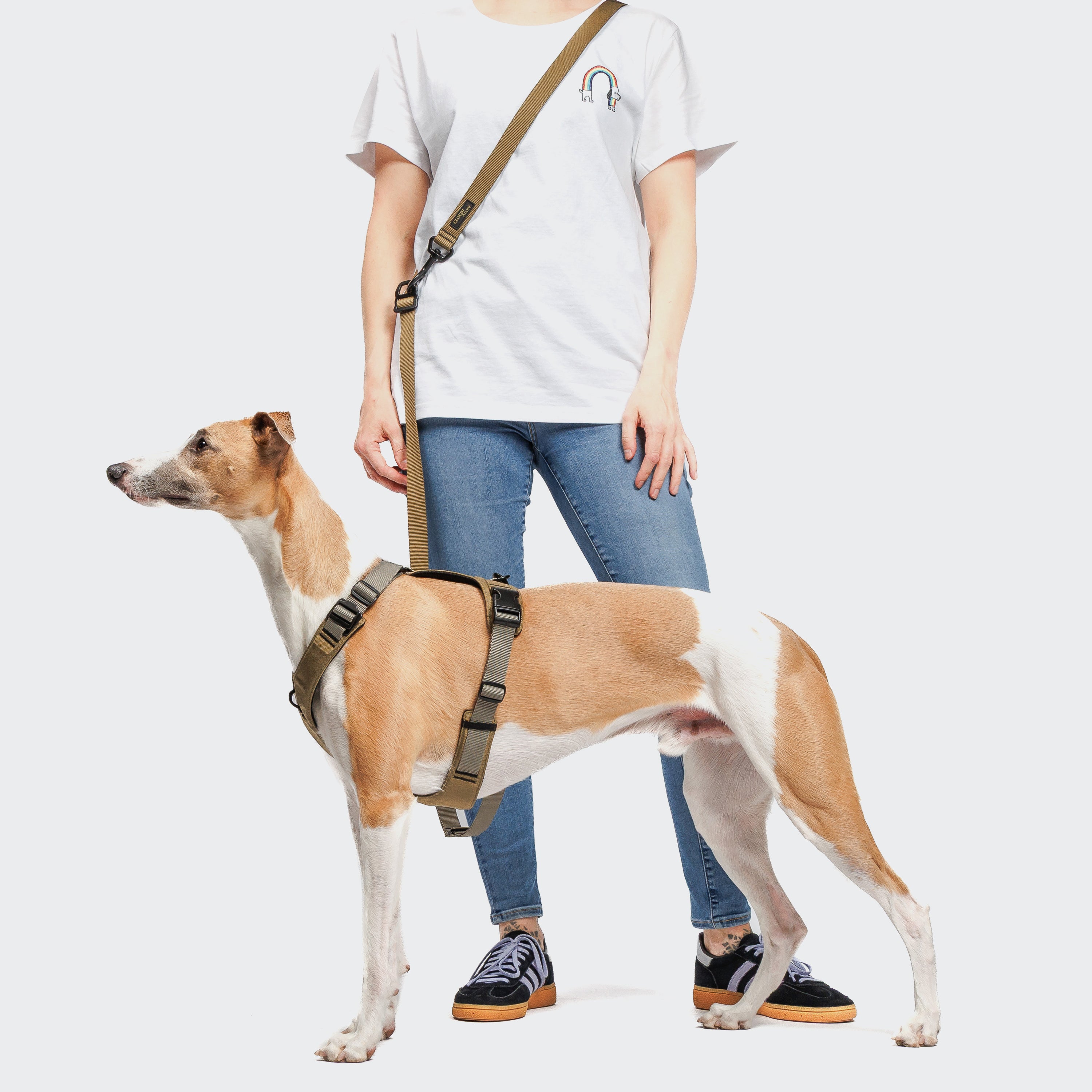 Cloud7: L-1 AKTIV Hands-Free Dog Leash, Khaki/Grey