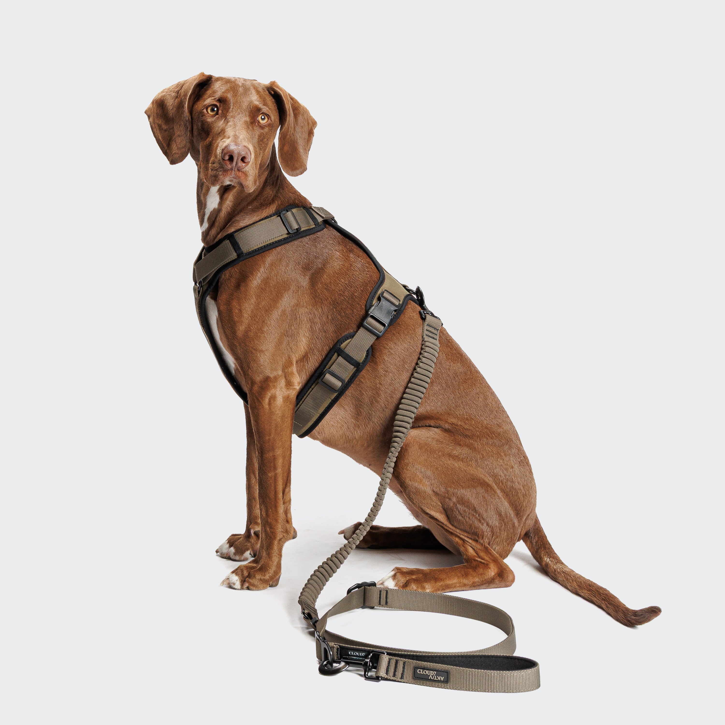 Cloud7: L-2 AKTIV Jogging Dog Leash, Olive