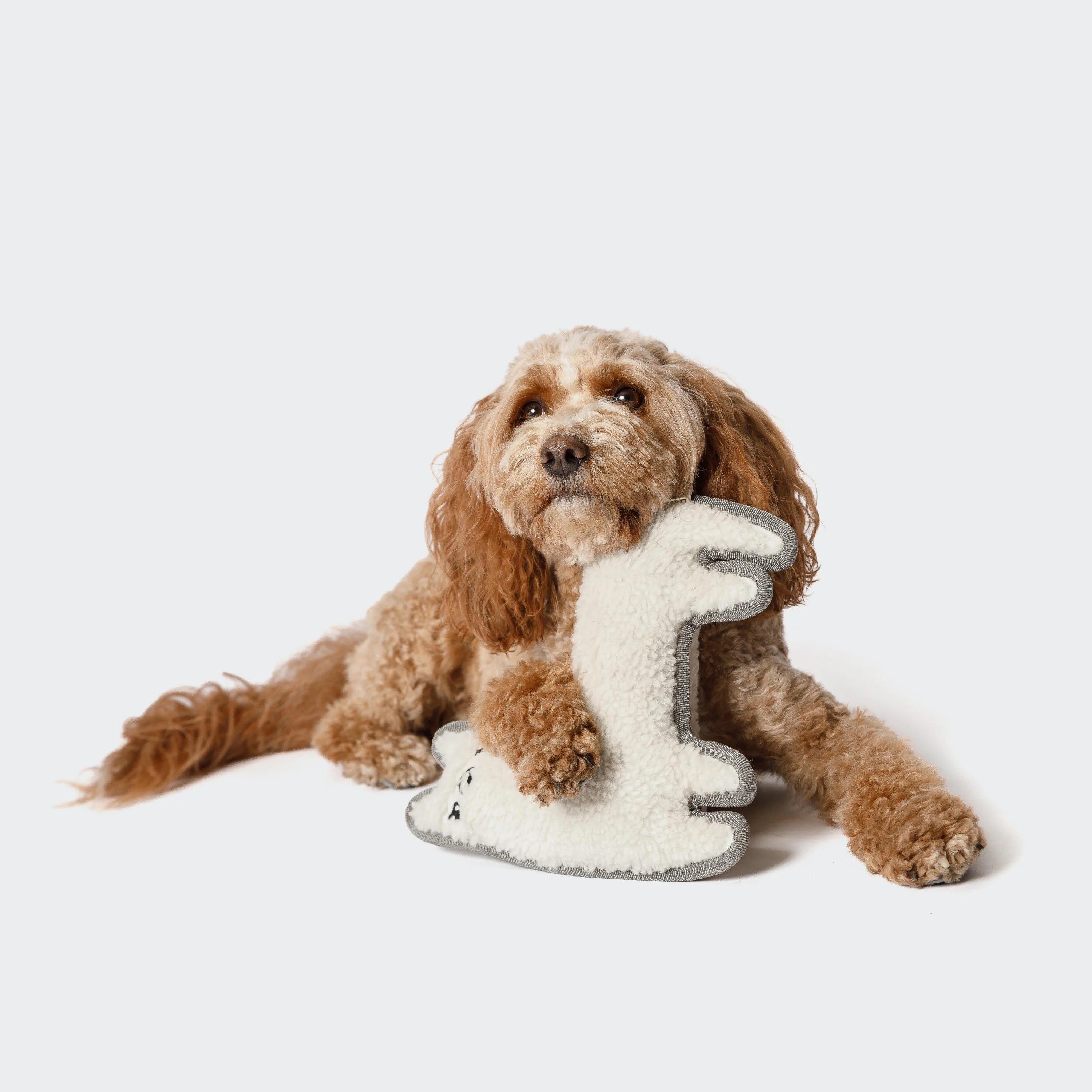 Cloud7 Dog Toy, Llama Lotte