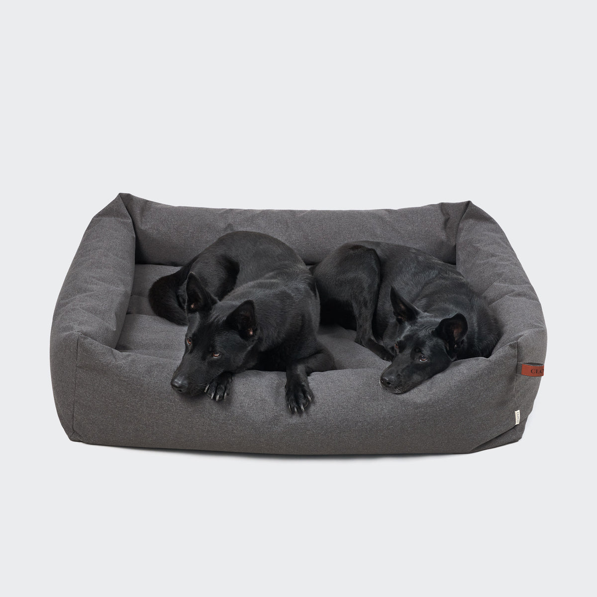 CLOUD7 Sleepy Deluxe indoor and outdoor dog bed with a waterproof cover and protective bolster rim in light graphite grey.