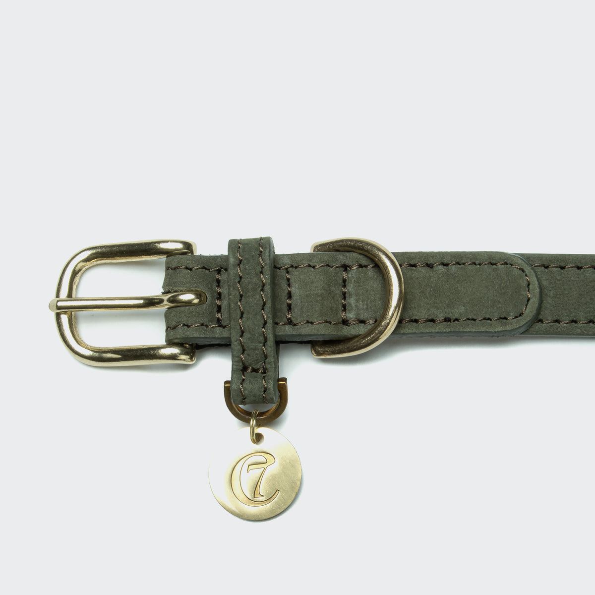 Cloud7 Tiergarten minimalist nubuck leather dog collar in forest green with brass buckle.