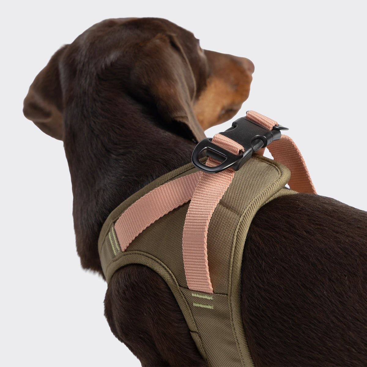 Cloud7 V-2 AKTIV Cordura small dog vest harness with front chest lead attachment point for no pull control
