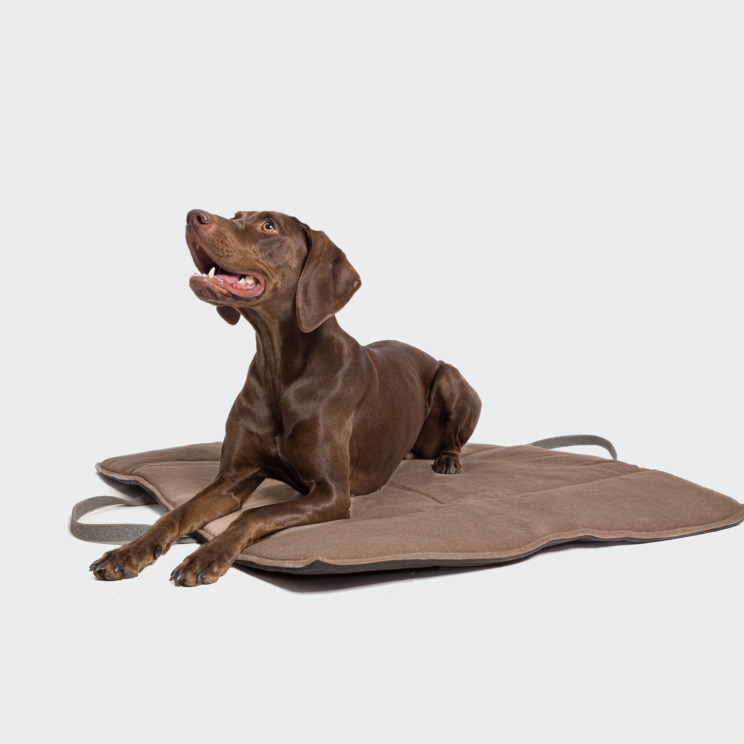 [Pre Order] Cloud7 Water Repellent Travel Dog Bed: Graphite / Sand