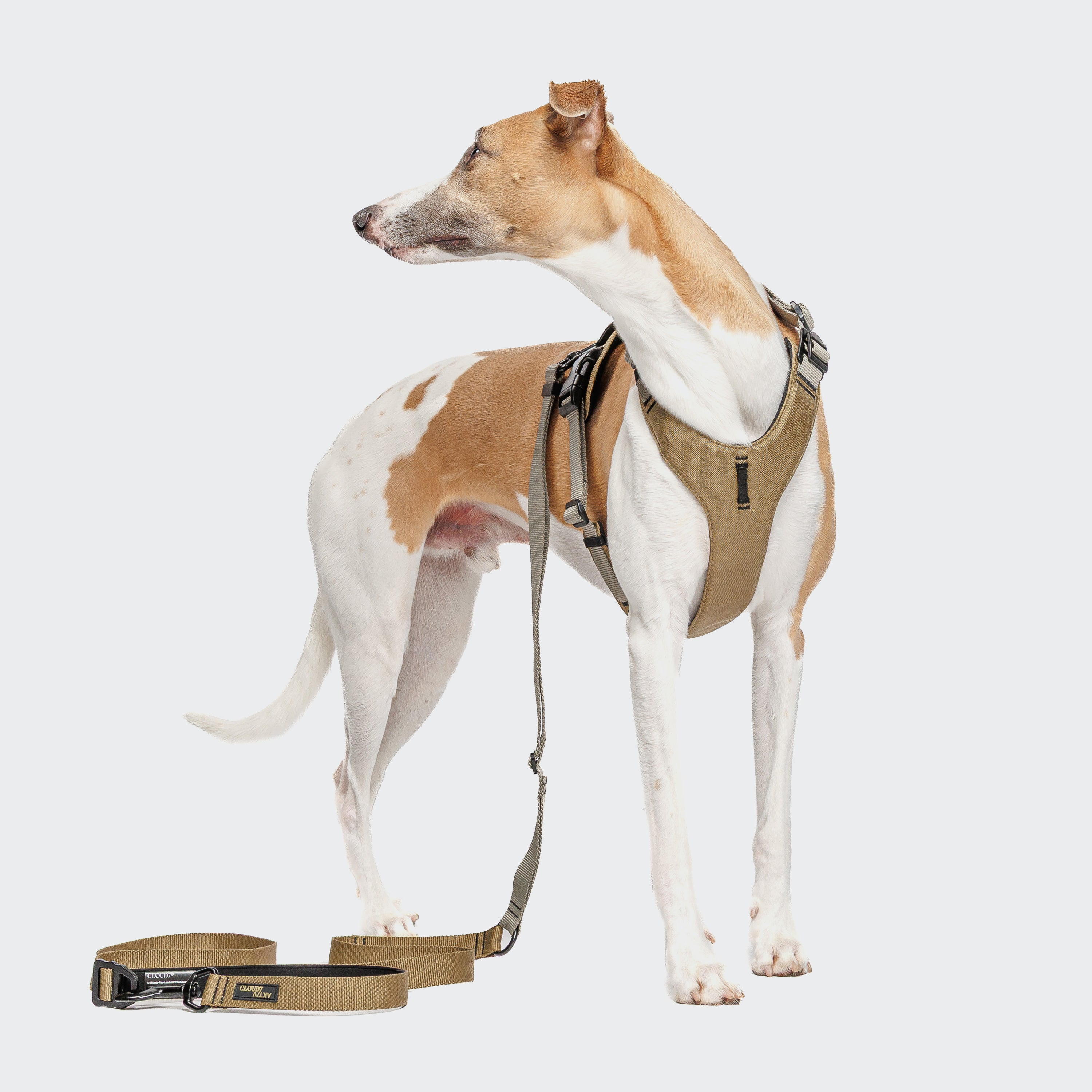 Cloud7 Y-2 AKTIV Cordura Dog Harness, Khaki | Padded & Water-Repellent