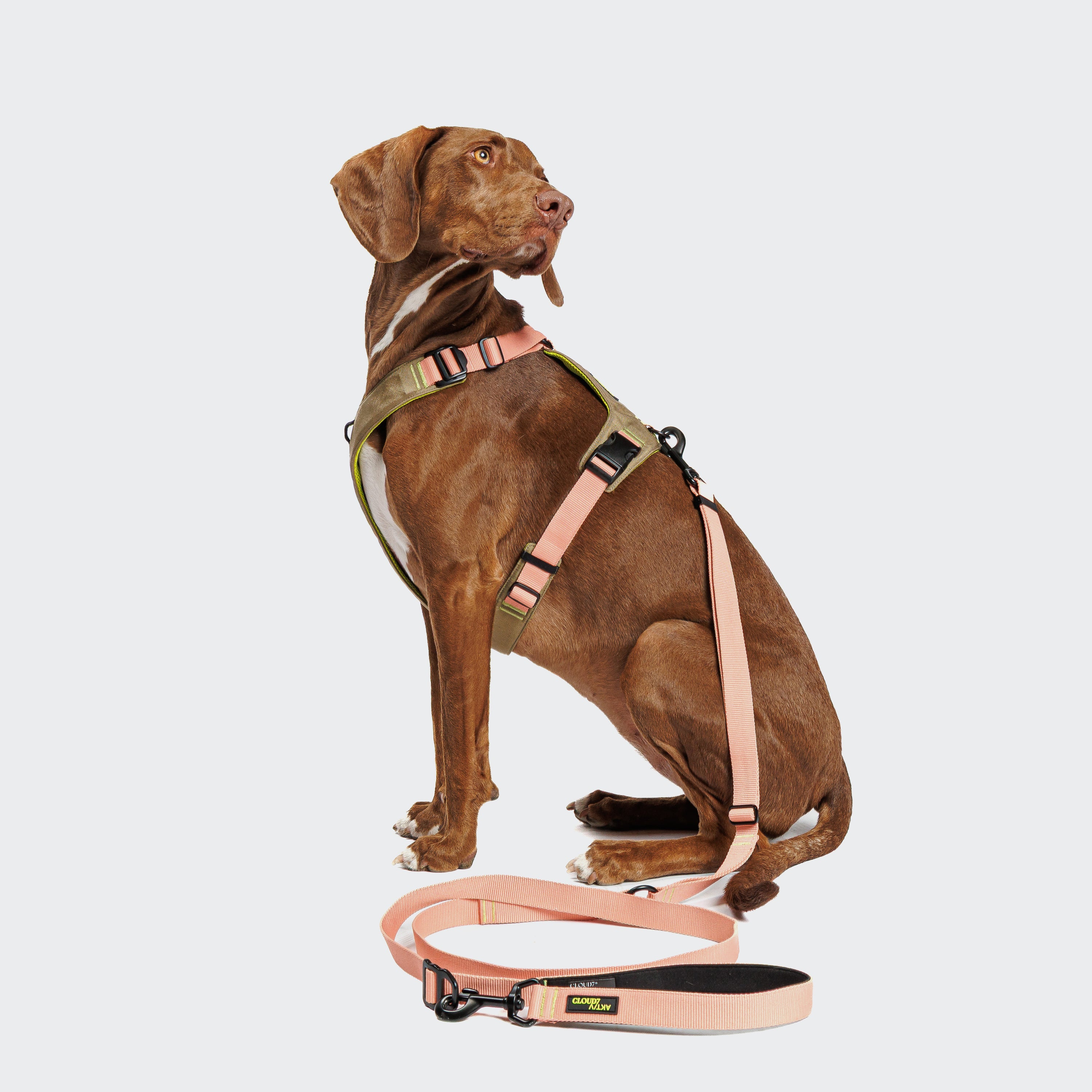 Cloud7 Y-2 AKTIV Cordura Dog Harness, Peach | Padded & Water-Repellent