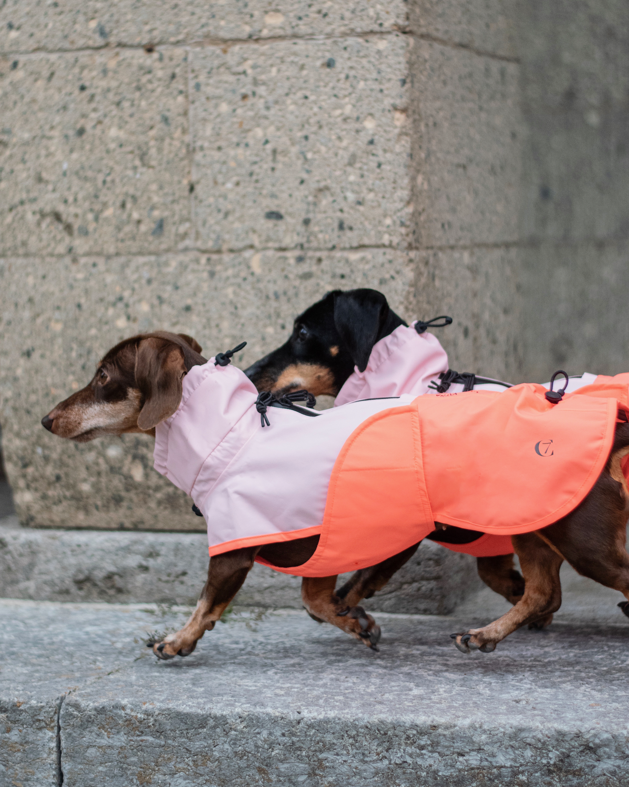Cloud7 AKTIV reflective dog raincoat in high-visibility color, showcasing the extended shape and relaxed cut for full body coverage on a dog.