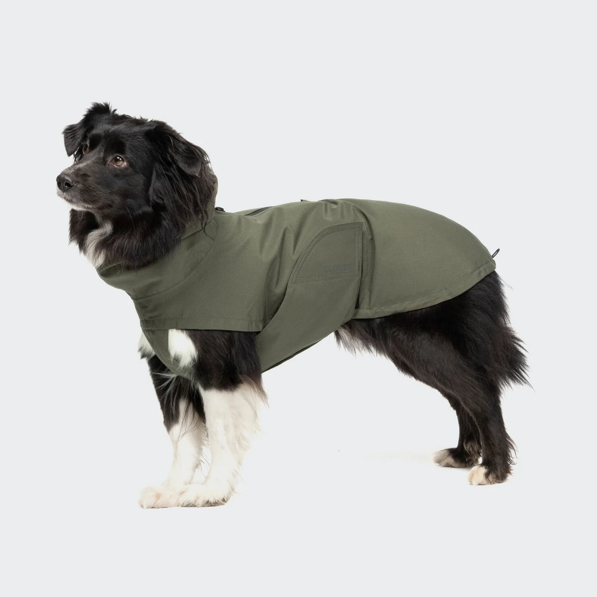 Minimalist dark olive dog rain jacket from the Cloud7 Dublin 2.0 eco-friendly pet outerwear collection.