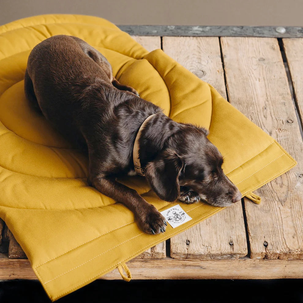 Compass Travel Dog Blanket in Mustard Yellow