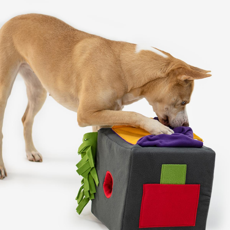 Dog Sniff and Search Interactive Nosework Puzzle Game, Sniff Box