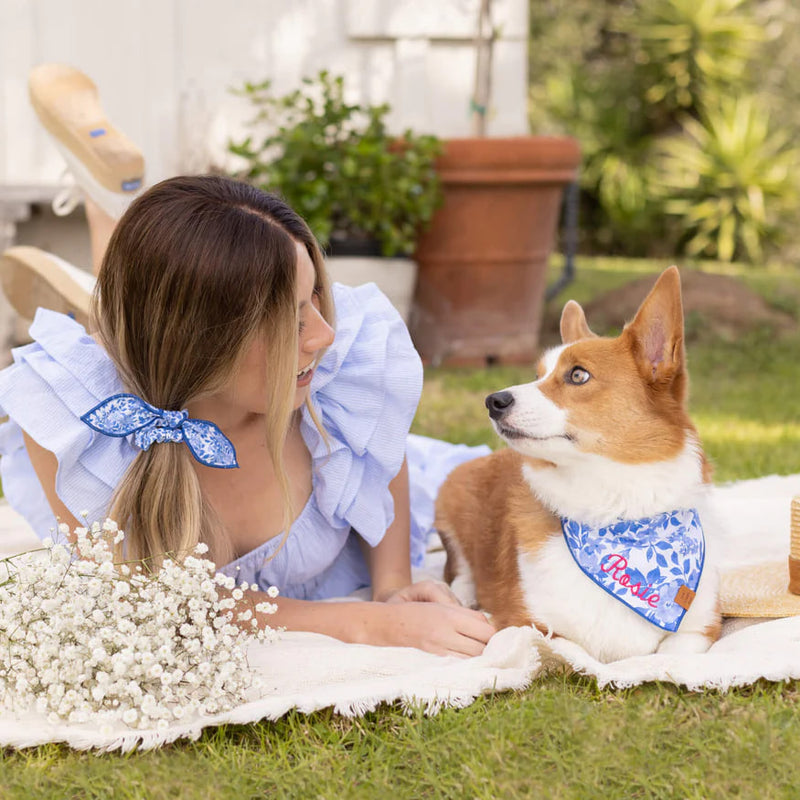 Dog and Cat Bandana: Blue Roses