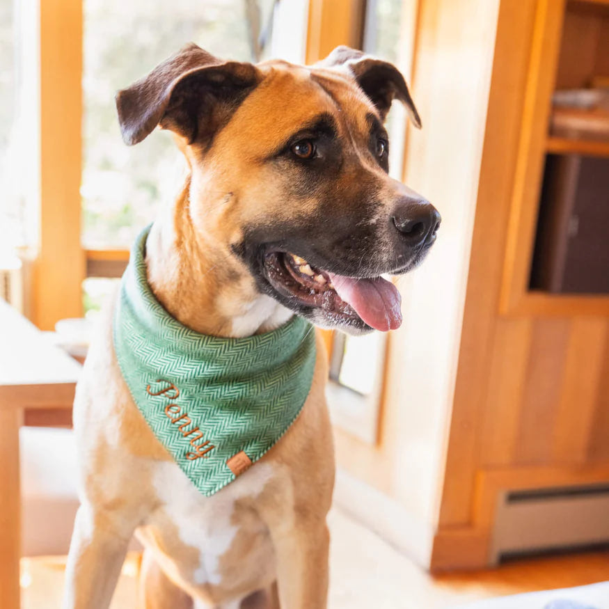 Dog and Cat Bandana: Green Herringbone Flannel