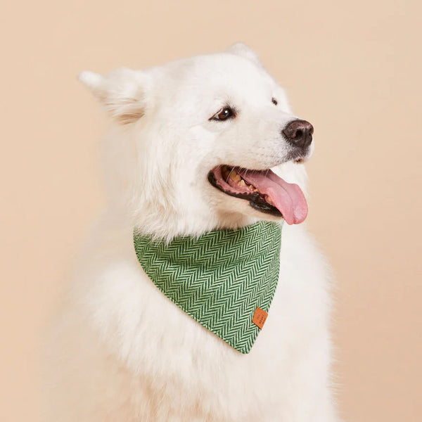 Dog and Cat Bandana: Green Herringbone Flannel