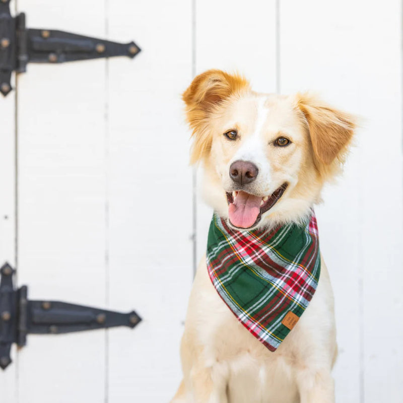 Dog and Cat Bandana: Holly Jolly Flannel