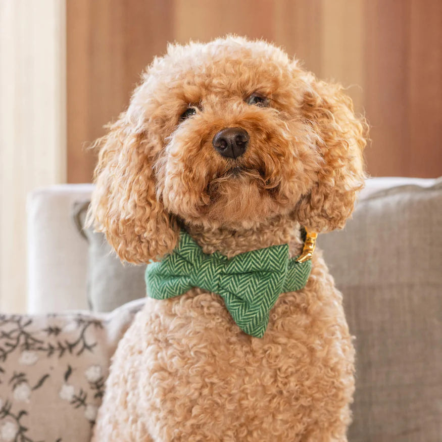 Dog and Cat Bowtie: Green Herringbone Flannel