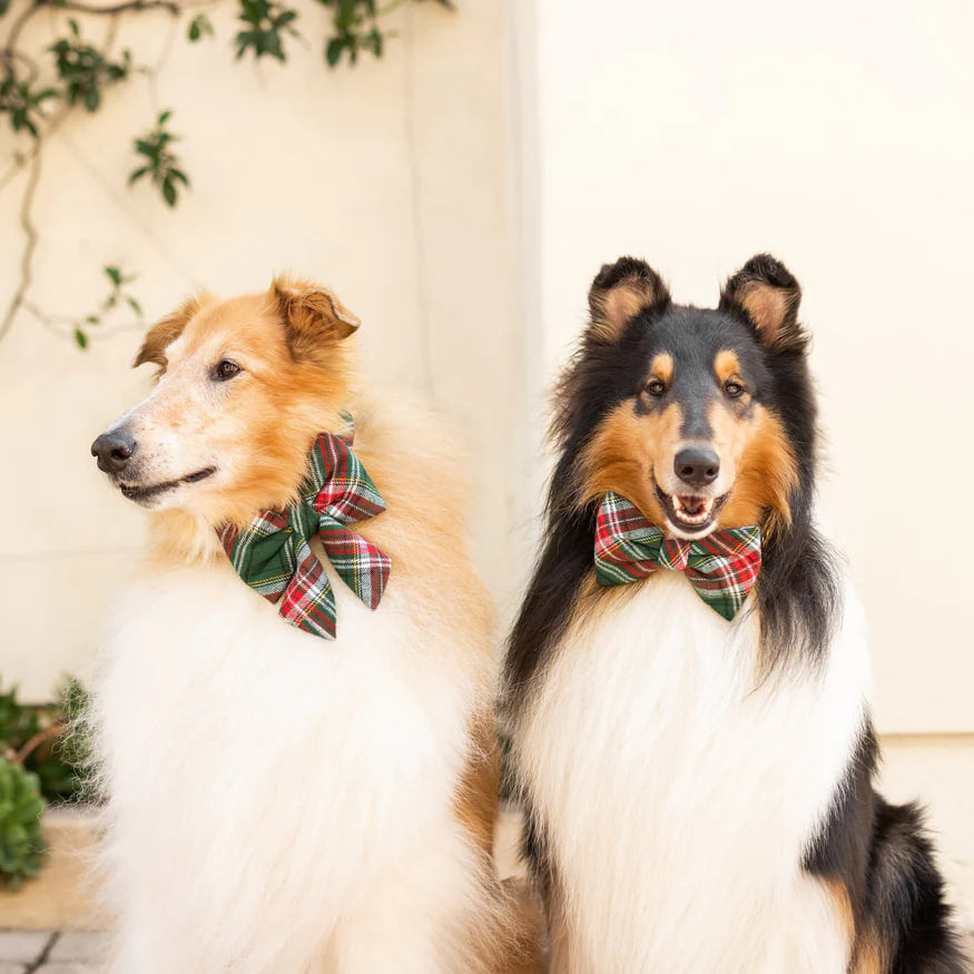 Dog and Cat Lady Bowtie: Holly Jolly Flannel