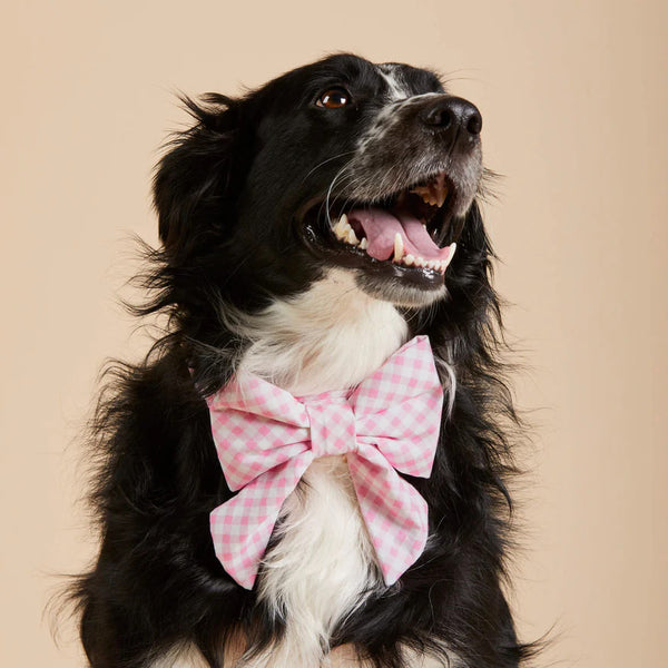 Dog and Cat Lady Bowtie: Hot Pink Gingham