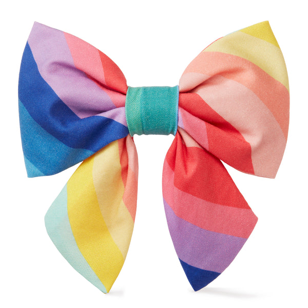 Dog and Cat Lady Bowtie: Over the Rainbow