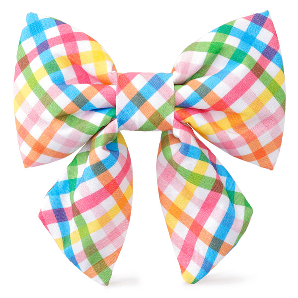 Dog and Cat Lady Bowtie: Rainbow Gingham
