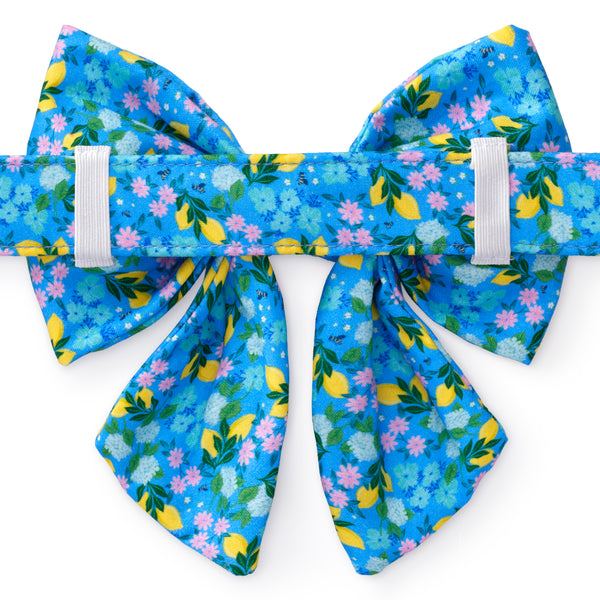 Dog and Cat Lady Bowtie: TFD x Simplified® Bees in Bloom