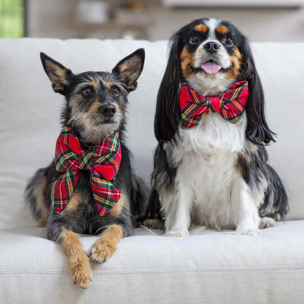 Dog and Cat Lady Bowtie: Tartan Plaid Flannel
