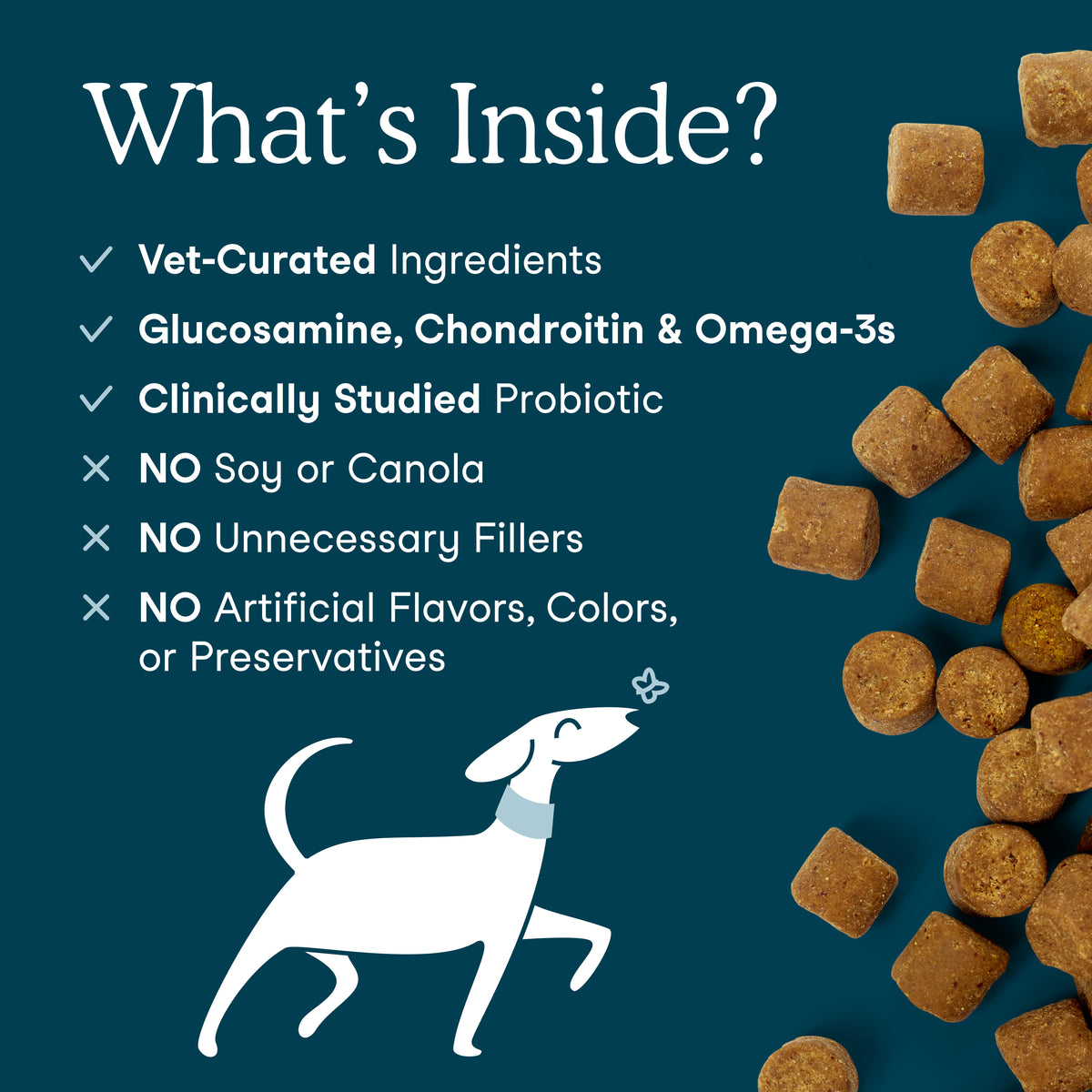 Fera Pets Organic All-in-one dog multivitamin soft chews for daily wellness and joint health containing glucosamine and fish oil
