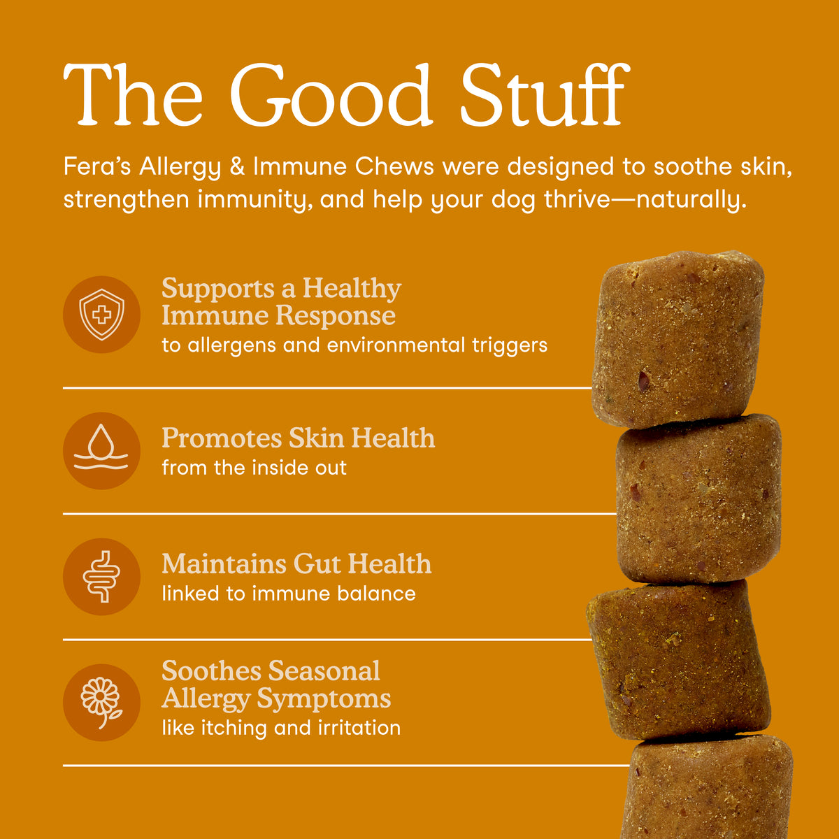 Fera Pets Organic dog allergy soft chews supplement jar for immune support and itchy skin relief