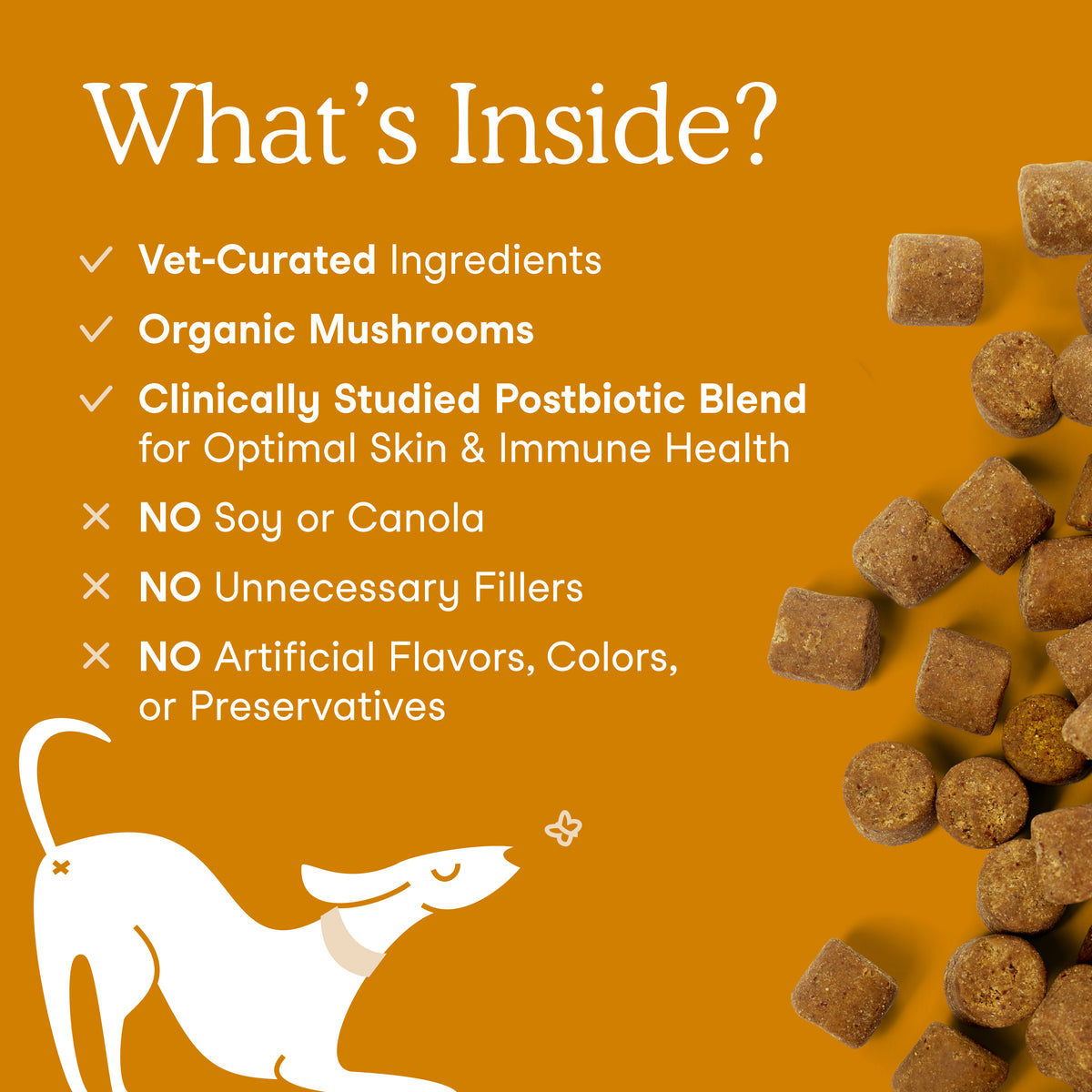 Fera Pets Organic dog allergy soft chews supplement jar for immune support and itchy skin relief