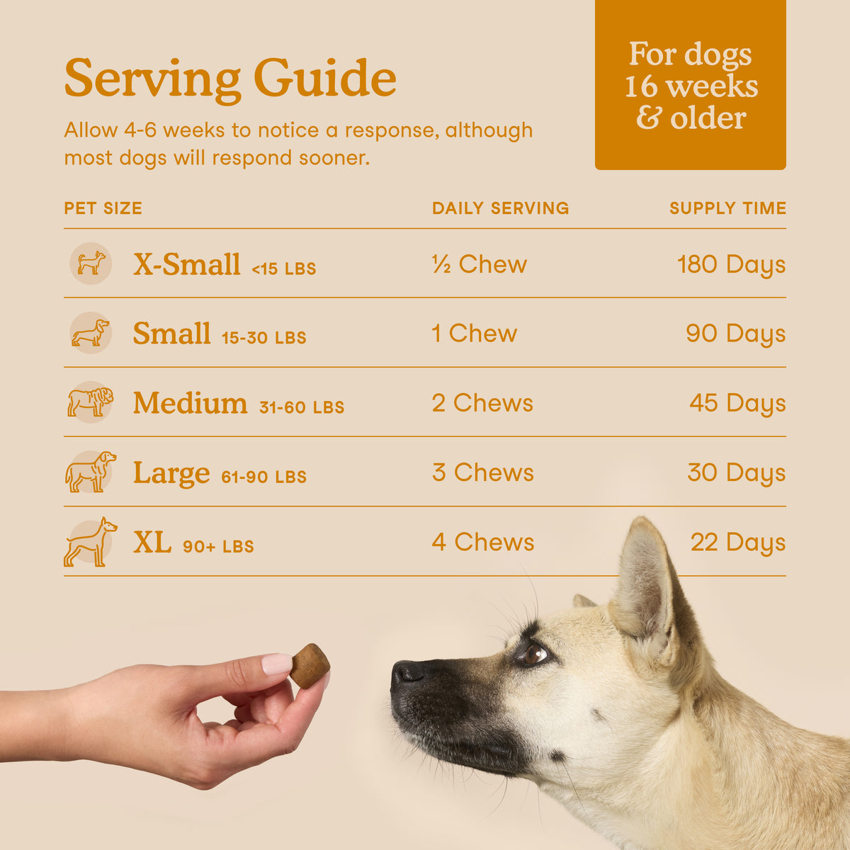 Fera Pets Organic dog allergy soft chews supplement jar for immune support and itchy skin relief