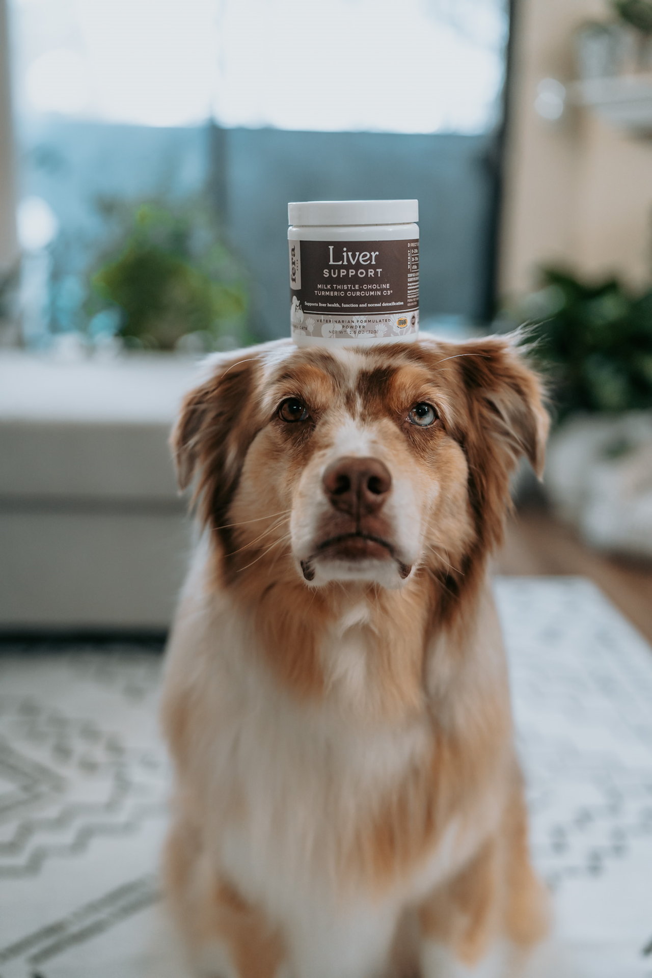 Fera Pet Organics Dog and Cat Supplement, Liver Support