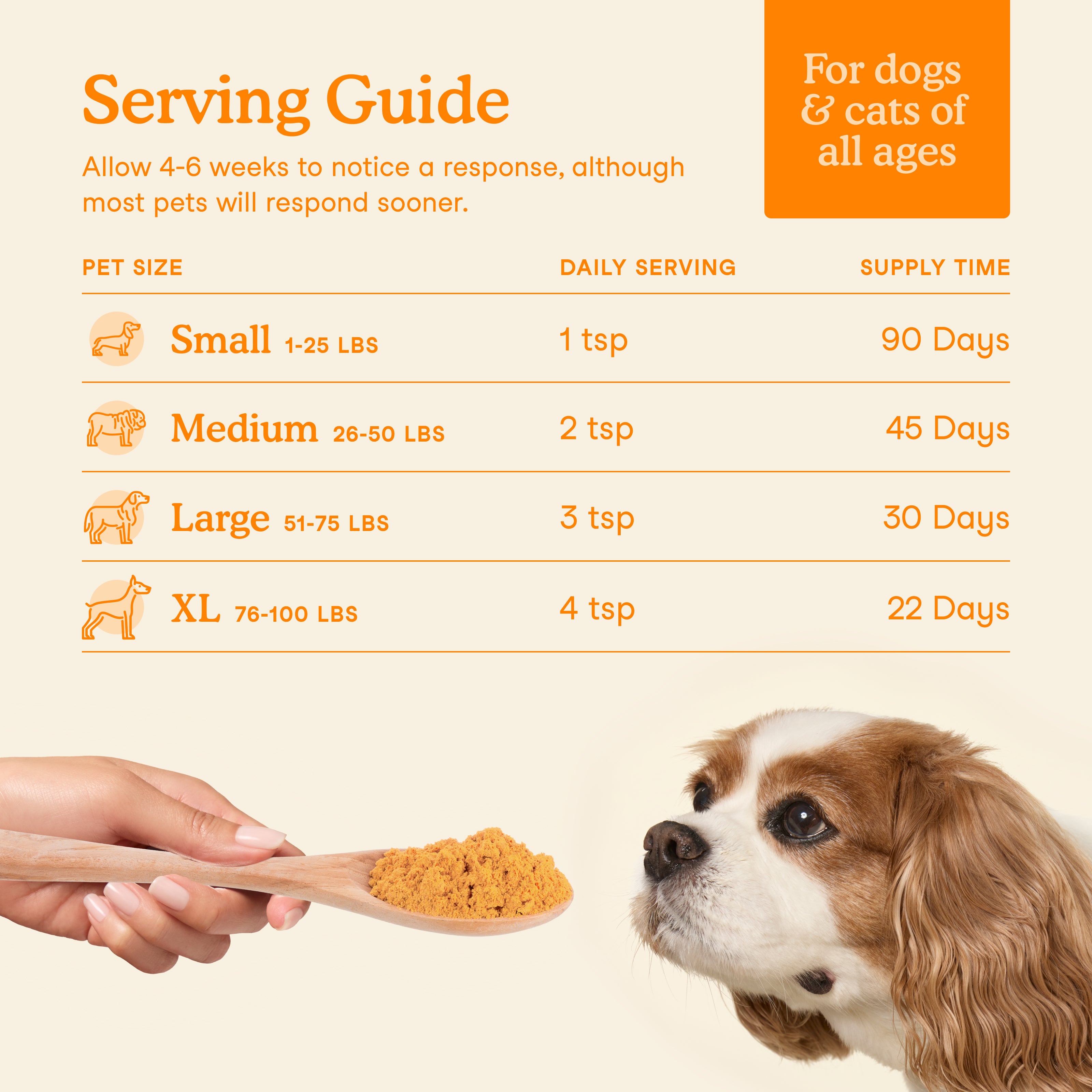 Fera Pet Organics Dog and Cat Supplement, Pumpkin Plus