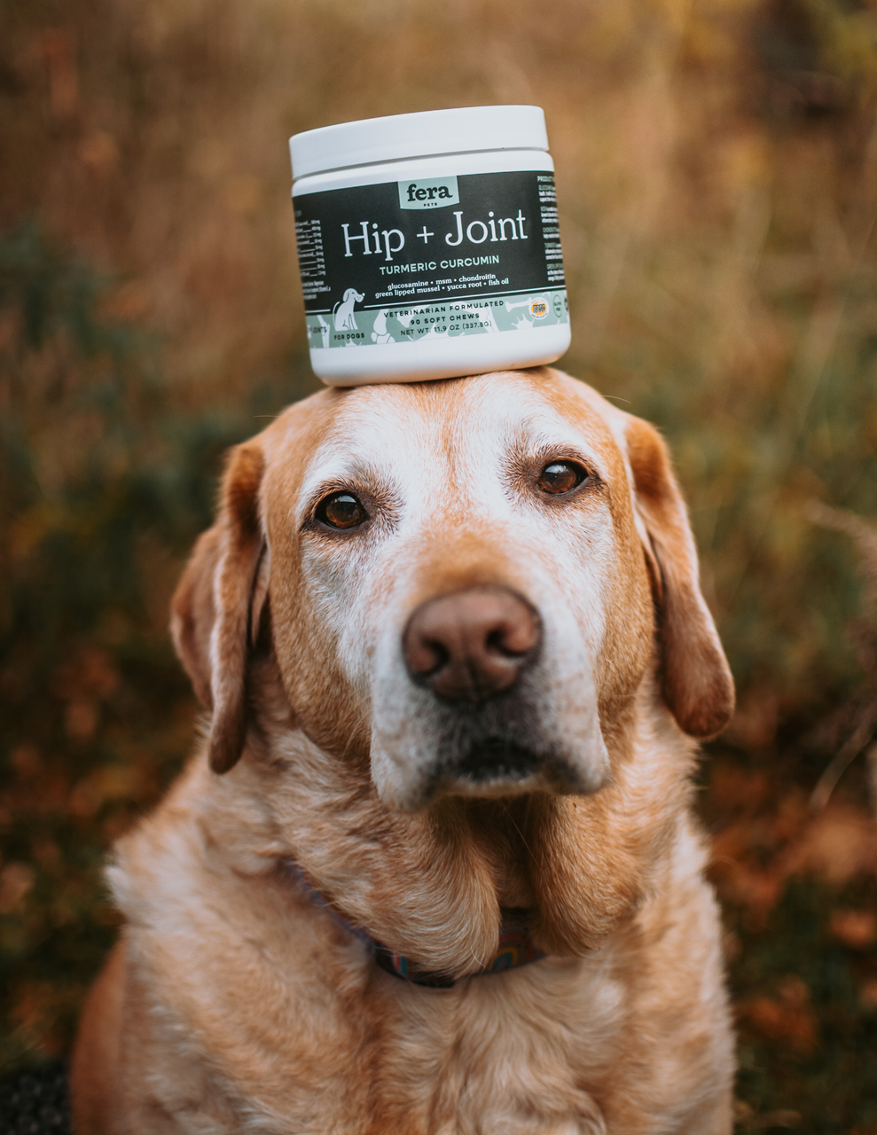 Fera Pet Organics Dog and Cat Supplement, Senior Dog Bundle
