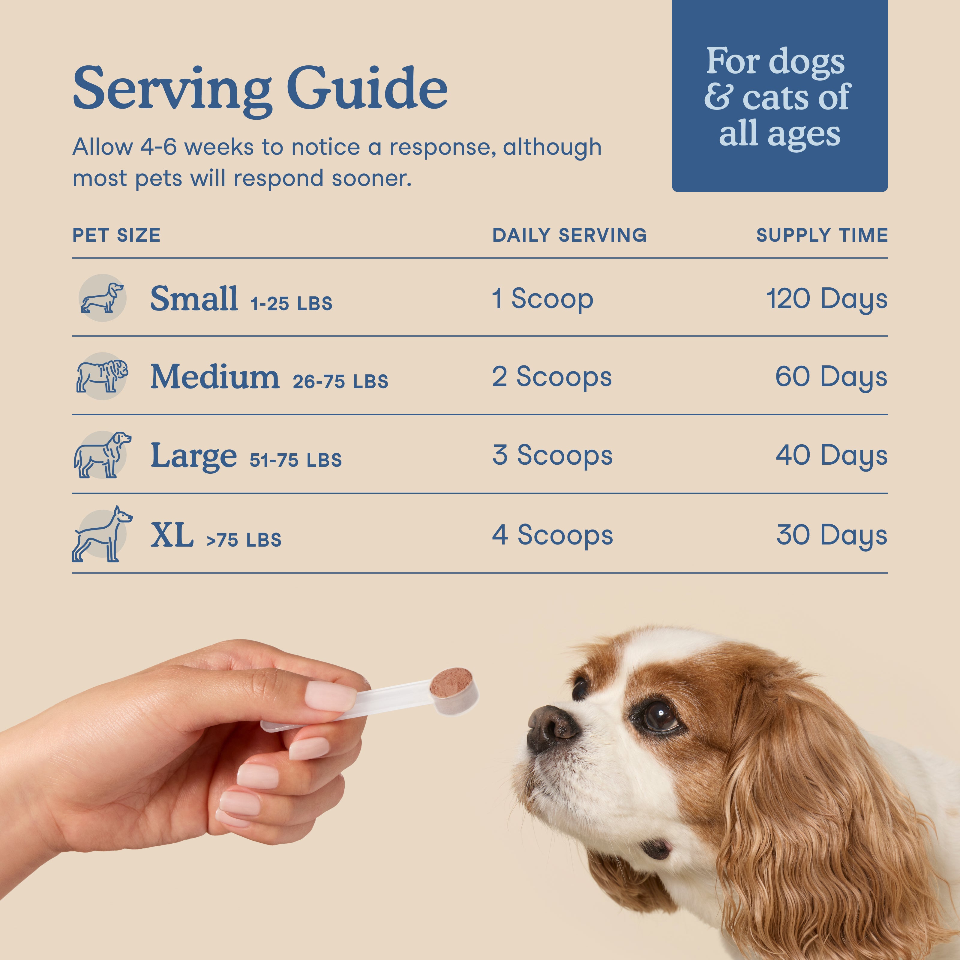 Fera Pet Organics Postbiotics Plus | Dog & Cat Gut Support