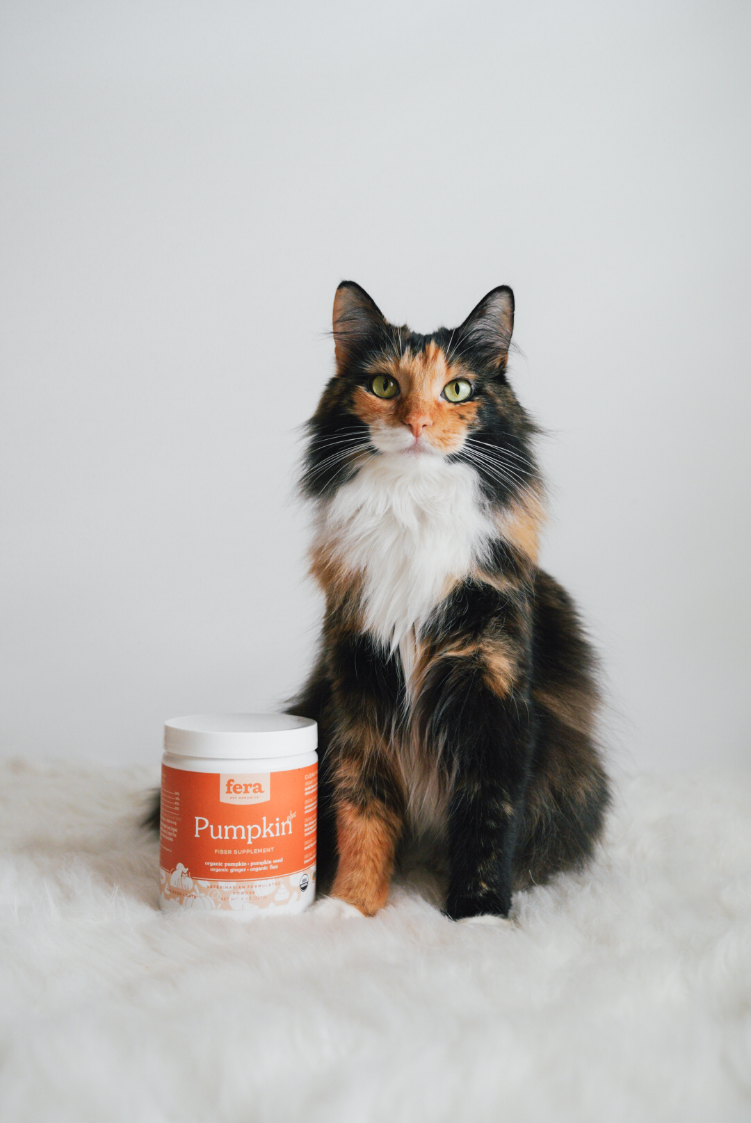 Fera Pet Organics Dog and Cat Supplement Pumpkin Plus Fiber Support