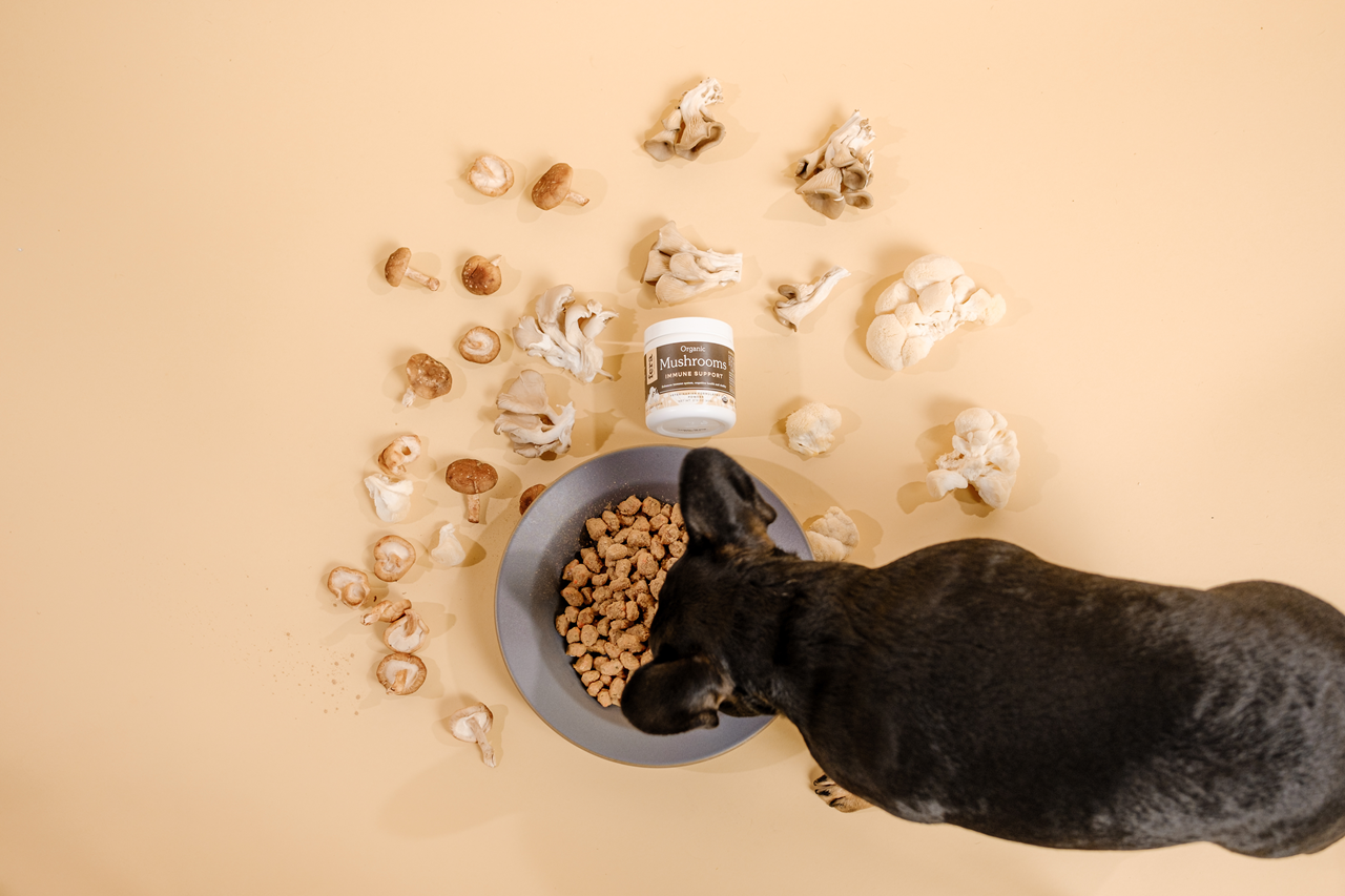 Fera Pet Organics Dog and Cat Supplement, USDA Organic Mushroom Blend for Immune Support