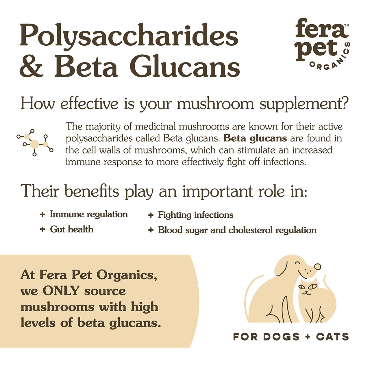 Fera Pet Organics Dog and Cat Supplement, Senior Dog Bundle