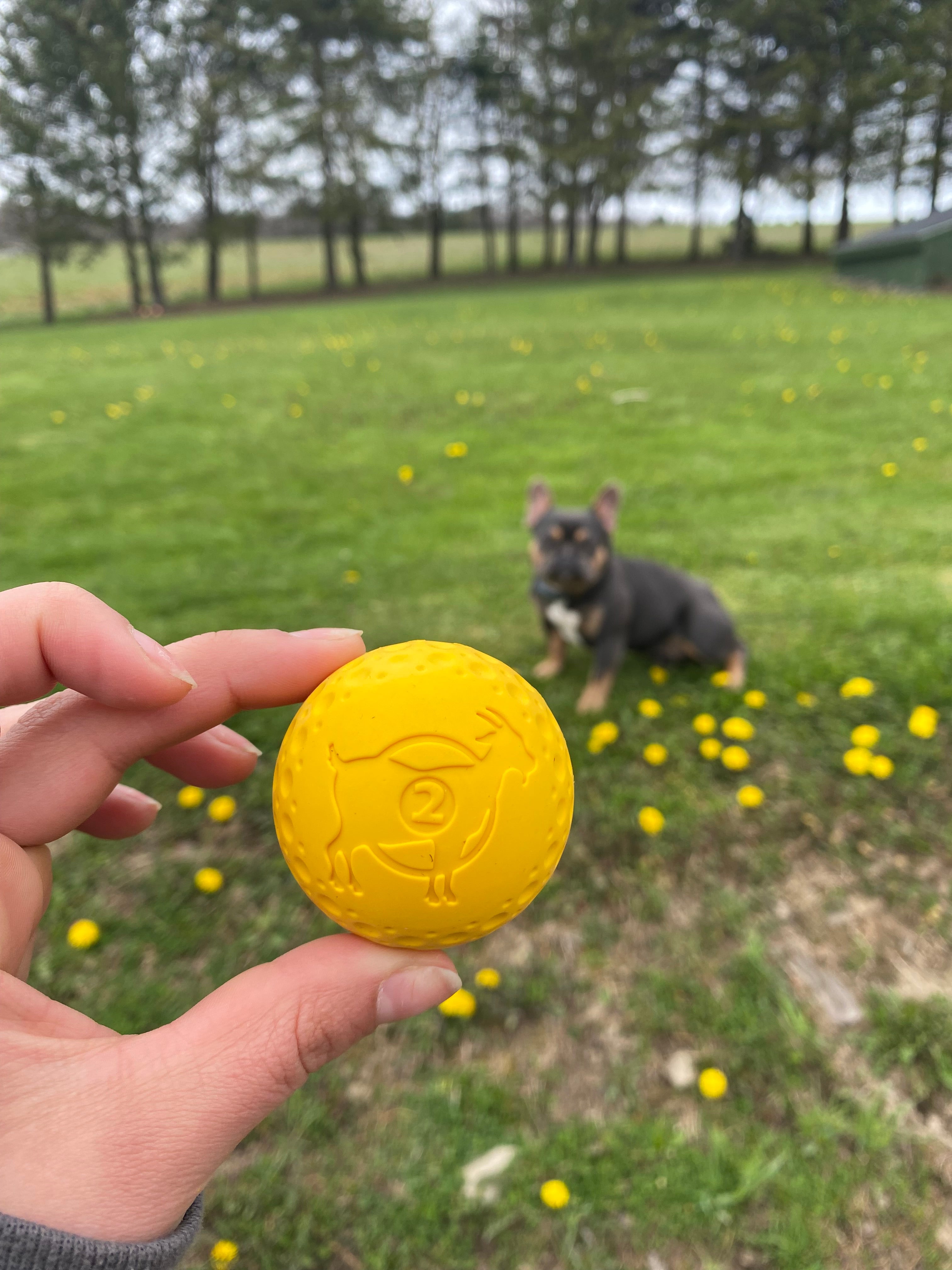 Fetch Dog Toy: Goat Sport Ball