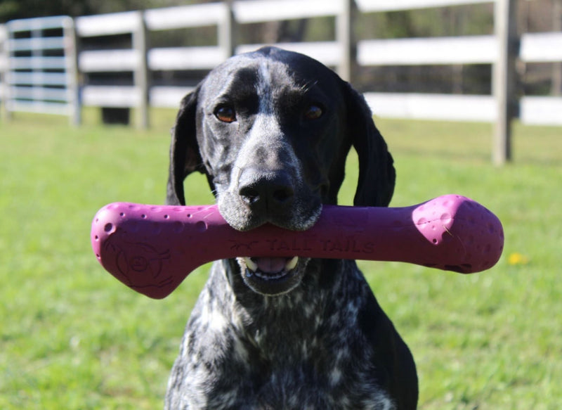 Fetch Dog Toy: Goat Sport Bone