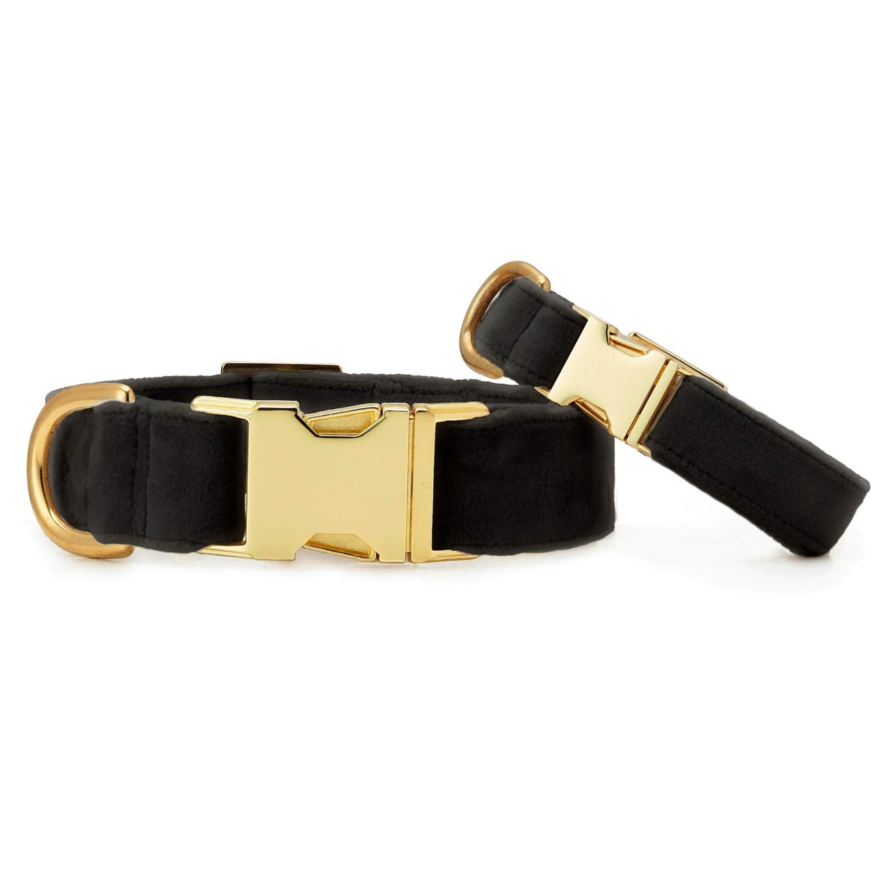 Dog Collar: Black Velvet