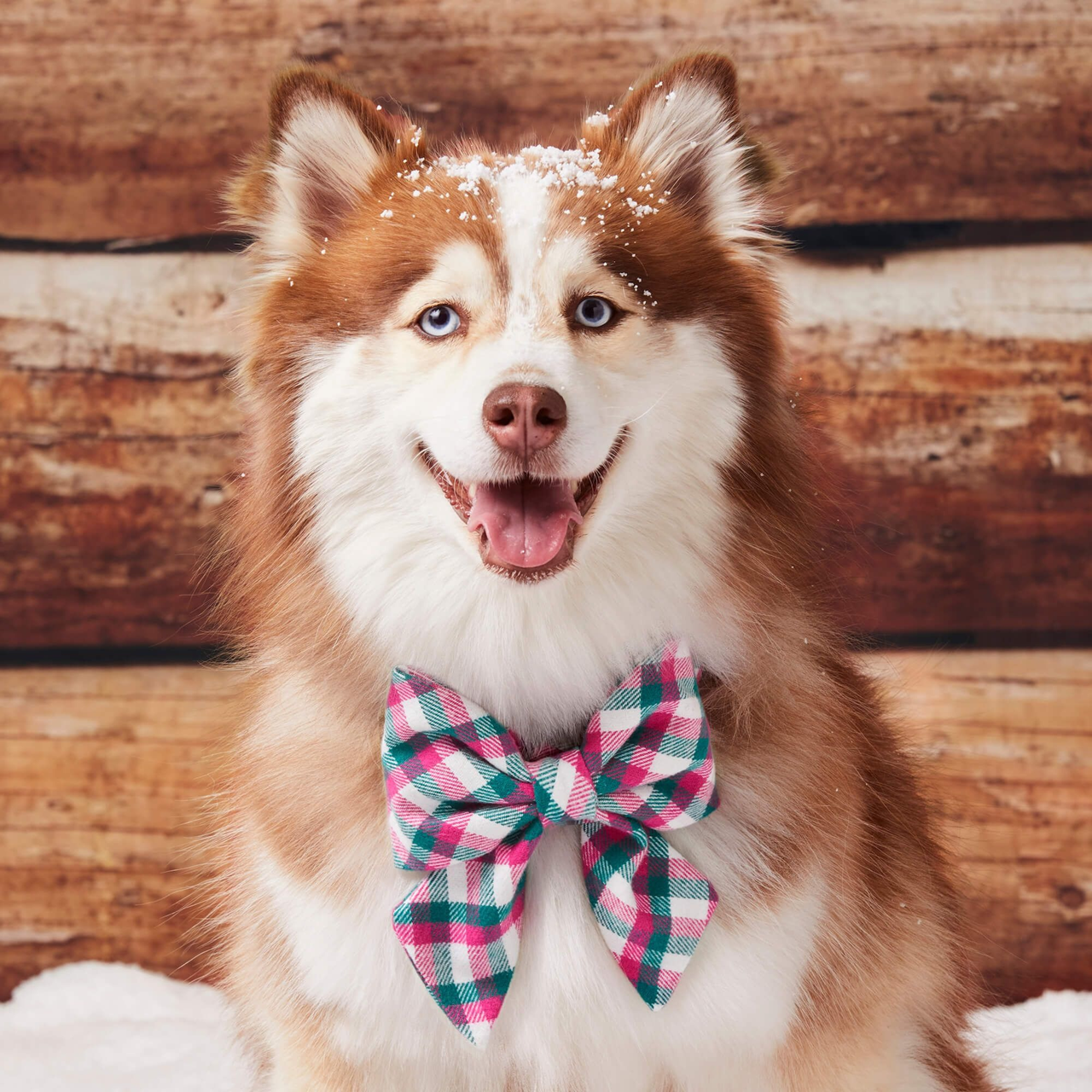 Dog and Cat Lady Bowtie: Callie Plaid Flannel