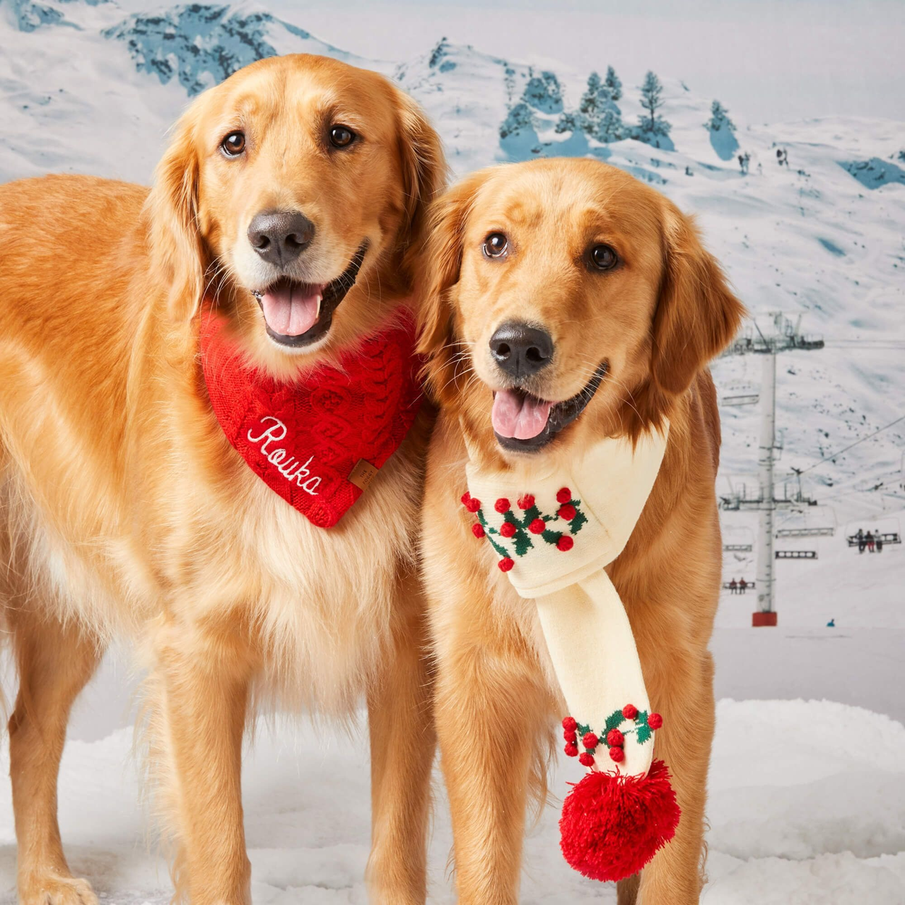 Dog and Cat Knit Bandana: Cable