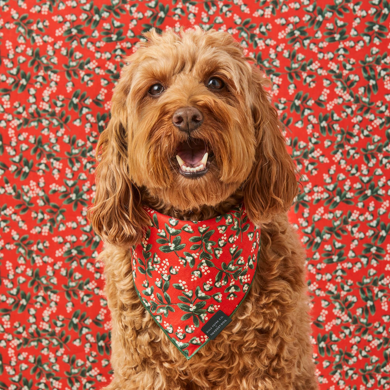 Dog and Cat Bandana: Rifle Paper Co. x TFD Mistletoe