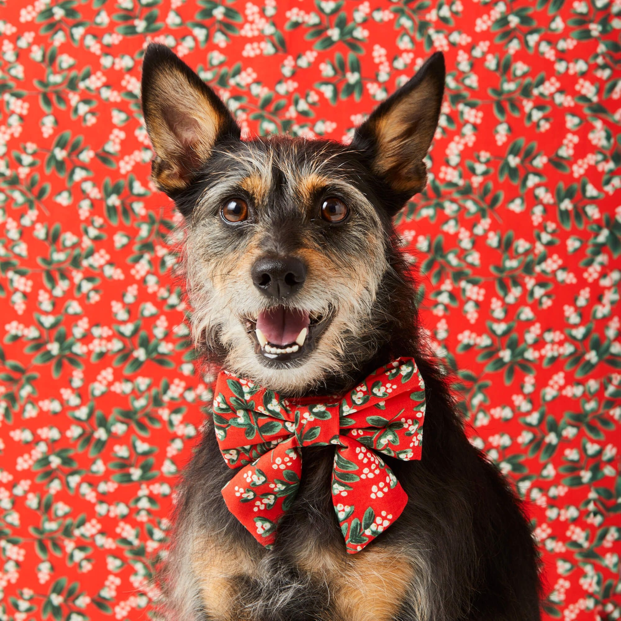 Dog and Cat Lady Bowtie: Rifle Paper Co. x TFD Mistletoe