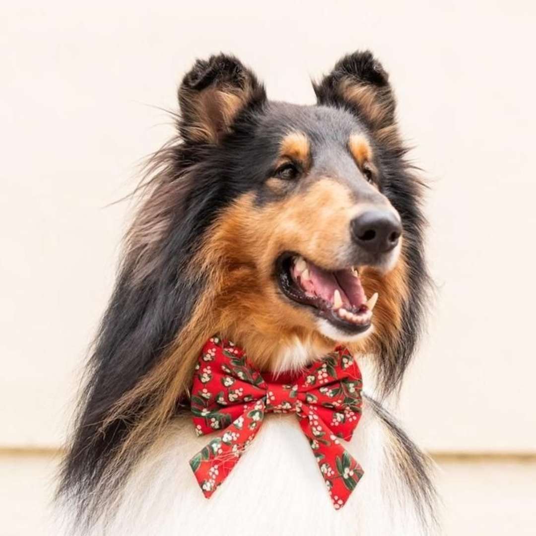 Dog and Cat Lady Bowtie: Rifle Paper Co. x TFD Mistletoe